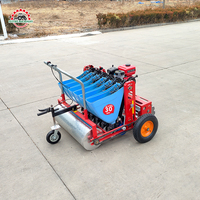 Machine à planter l'ail de haute qualité pour usage agricole extérieur, résistante à la corrosion, semoir à ail, planteuse d'ail