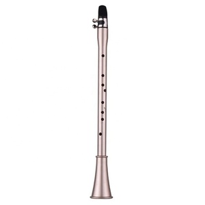 Produttore vendite dirette multi-specifica tasca in plastica clarinetto principiante semplice Mini sassofono - Product Image 1