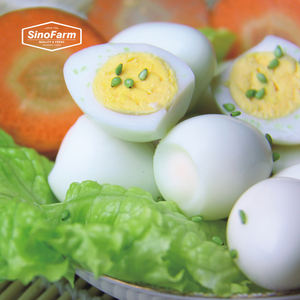 Œufs de caille fraîchement bouillis, pelés, emballés sous vide, qualité supérieure, Ovo De Codorna, Oeuf De Caille en conserve - Product Image 1