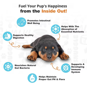 Nieuwe Aanwinst Lekkere Puppy Probiotica Zachte Granulaatjes Kalmerende Spijsverteringsondersteuning Immuunsysteemversterking Hoog Eiwitgehalte voor Jonge Puppy's OEM - Product Image 4