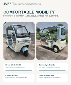 Tricycle électrique pour adultes, scooter à trois roues avec toit, tricycle fermé pour passagers - Product Image 4