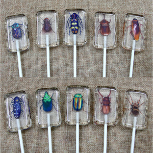 Nuevo Producto Creativo, Caramelo con Forma de Insecto Hecho a Mano, Piruleta de Insecto, Caramelo de Halloween al por Mayor, Caramelo Ámbar - Product Image 6