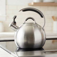 Bouilloire à thé en acier inoxydable poli 18/8, 1,9 L, compatible induction, design moderne, écologique, avec couvercle, pour la maison et les hôtels, haute qualité
