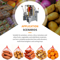 Ligne de production de machines d'emballage verticales entièrement automatiques pour sacs en filet, double trémie pour matériaux en blocs de fruits et légumes