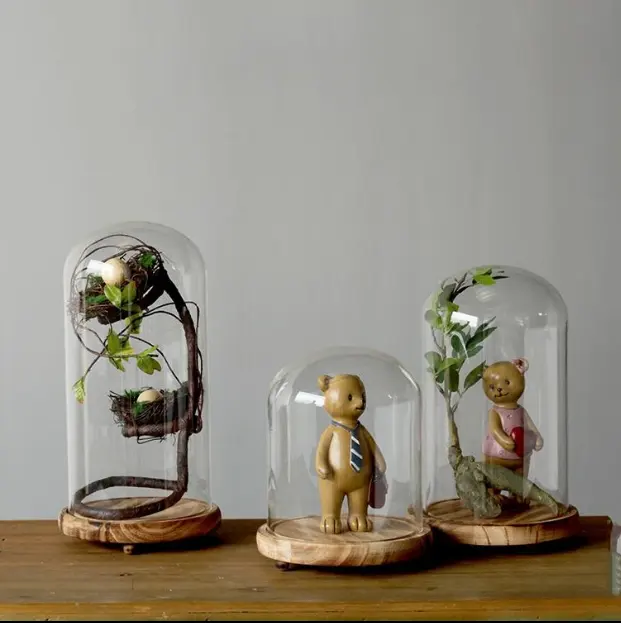 Décoratif En Verre Clair Cloche Cloche Vitrine avec Base En Bois