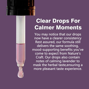 Gouttes liquides de sureau en gros pour adultes – Soutien immunitaire naturel à base de plantes – Teinture de sureau bien-être en gouttes liquides - Product Image 6