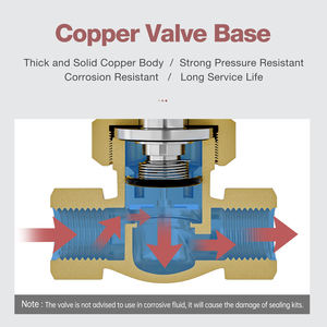 Sns <span class=keywords><strong>2l</strong></span> סדרה 220v ac סולנואיד טמפרטורה גבוהה שסתום סולנואיד פנאומטי טמפרטורה גבוהה - Product Image 5