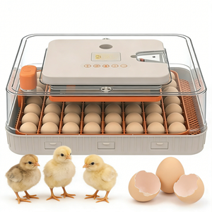 Nueva Incubadora Digital de Huevos de Gallina de Plástico con Temporizador, 56 Bandejas, Fuente de Alimentación Única, Automática para Crías de Aves, Patos, Gansos y Emús - Product Image 1