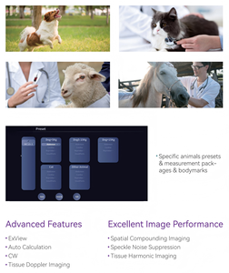 Sonda de Ultrasonido Veterinaria Portátil de Calidad Premium para Animales, Uso Equino y Bovino, Máquina de Ultrasonido Portátil para Laptop - Product Image 2