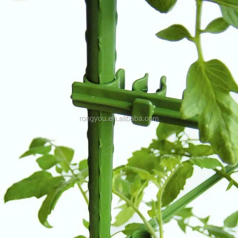 Werksverkauf PE-beschichteter Kunststoff-Pflanzenstütze-Säule Tomaten Gurke Klettermetall Gartensäule