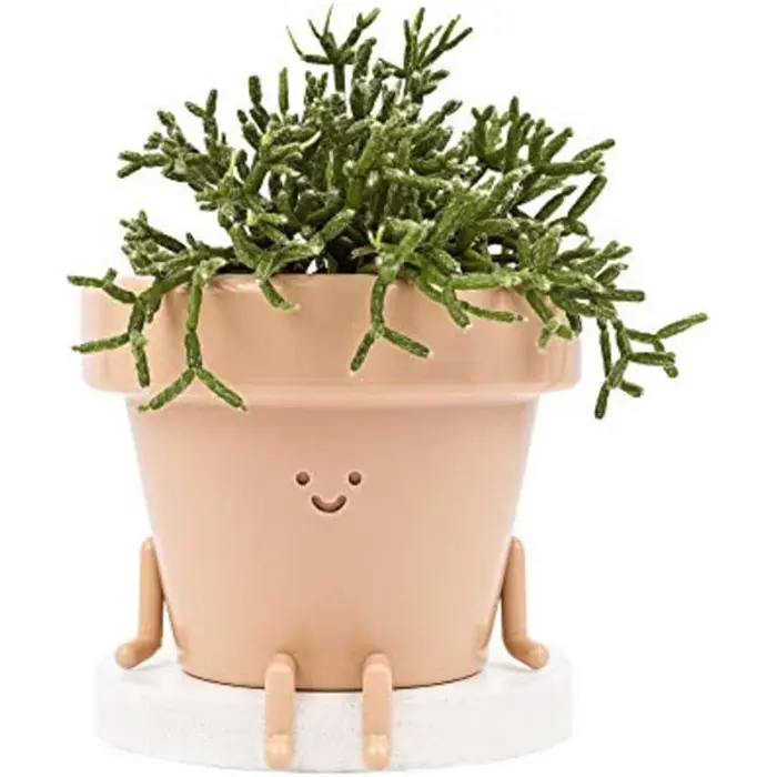 Novelty Cute Face Sitting Plant Pot, Unique Cute Face Flower Pot with Drainage Hole