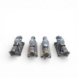 Bomba Lobular de Velocidad Constante con Engranajes de Acero Inoxidable Sanitario Ace SS304 SS316L con Cabezal Aislado y Sello Mecánico - Product Image 2