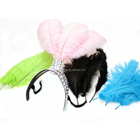 Coiffe en plumes Yuce pour costume de Samba, performance de carnaval, plumes d'autruche argentées, danse, scène, mariage, artisanat