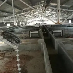 Nursery-ingrasso Dry-Wet Pig Automatic Pig Farm System mangiatoia per suini in acciaio inossidabile