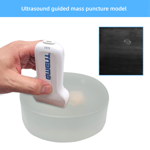 Fantomma Compatta per Biopsia ad Ultrasuoni, Blocco di Tessuto Semi-Trasparente per l'Addestramento ai Punti di Pungitura per Principianti - Product Image 3