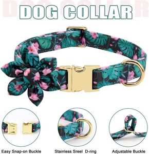 Personalized OEM ODM Eco-Friendly Dog Harness Set Fur Trim Neoprene Padded Polyester Custom Design Matching Collar Leash Set - Product Image 3