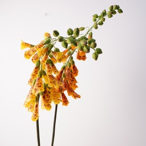 Fiori Artificiali di <span class=keywords><strong>Digitalis</strong></span> Realistici in Lattice Fatti a Mano per Matrimoni, Halloween e Decorazioni Murali - Festa della Mamma - Product Image 4
