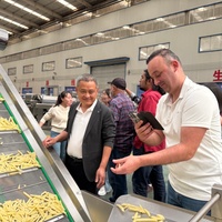 LTK Merk Commerciële Fabrieksprijs Op Maat Gemaakte Semi-Automatische Frietlijn voor Patat, Diepvries Frieten en Fruitverwerking