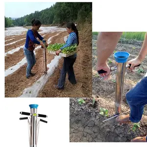 2row greenhouse tool onion vegetable seedlings transplanting machine /seedling transplanter