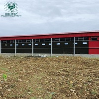 Gallinero Prefabricado de Acero Galvanizado, Diseño Moderno y Económico, Estructura de Marco Metálico para Cría de Aves de Corral