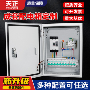 Boîte de distribution Tianzheng 380V 63A IP54, panneau électrique mural intérieur - Product Image 4