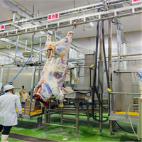 Équipement professionnel de grande capacité pour l'abattage de bovins destiné aux usines d'abattage de vaches