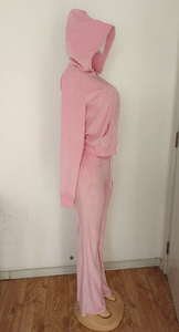 Ensemble de sweat-shirt à capuche en velours rose pour femmes, haut à fermeture éclair à manches longues, pantalon droit, tenue décontractée en 2 pièces, coupe ample pour toutes les saisons - Product Image 5