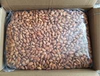 Tongjin Amandelen: Hoogwaardige Amandelen, Gezonde Snack, Gedroogde Amandelen - Rauw voor Bulk Export en Rauwe Verwerking