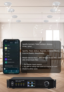 شبكة صوت 4 مناطق WiFi BT5.0 محوري بصري USB متعدد المناطق مكبرات صوت نظام تشغيل الصوت - Product Image 5