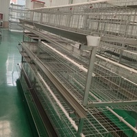 Cage à poulets de type H pour zone d'exportation et ferme de transformation