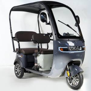 Tricycle électrique à trois roues pour adultes, <span class=keywords><strong>prix</strong></span> bas, fabriqué en Chine - Product Image 3