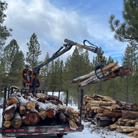 OEM Meilleure vente : Grappin forestier hydraulique rotatif pour excavatrice
