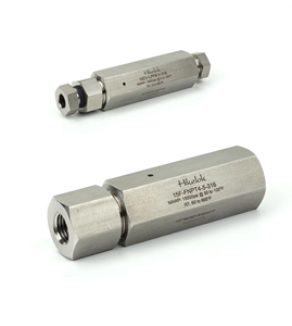 Nồi hấp hip loại ultrahigh áp lực 15000 PSI thép không gỉ 1/8 ''1/4'' OD NPT Inline Bộ lọc 5 35 65 micron yếu tố lọc - Product Image 1