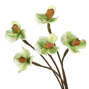 ดอกไม้ประดิษฐ์ก้านเดียวไม่มีใบกล้วยไม้ papiopedilum/กระเป๋าสำหรับตกแต่งงานแต่งงานฉากหลังแต่งงานและตกแต่งห้อง - Product Image 1