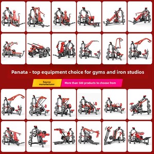 <span class=keywords><strong>PANATTA</strong></span> Panata Steel Appareil de Rameuse Horizontale Commerciale à Assise pour Entraînement de Tirage Haut, Ensemble Complet pour Salle de Sport - Product Image 2