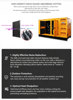 Générateur diesel 200 kW 250 kVA 300 kVA, groupe électrogène diesel silencieux 300 kW, triphasé, robuste, insonorisé, industriel, avec ATS