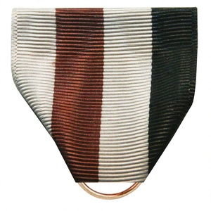 PMS Discretion Award Drape Ribbon Cortinas para adultos - Product Image 1