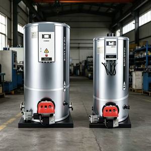 Calderas de gas y aceite de baja circulación natural industriales, resistentes a la corrosión, automáticas, de acero al carbono, de alta eficiencia para - Product Image 3