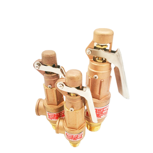 <span class=keywords><strong>Valvola</strong></span> di Sicurezza Manuale a Molla in Ottone per Caldaie a Vapore, <span class=keywords><strong>Valvola</strong></span> di <span class=keywords><strong>Pressione</strong></span> Filettata con Leva DN10-DN50 - Product Image 3