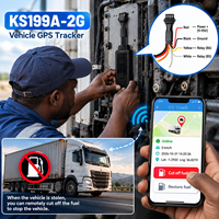 Traceur GPS 2G pour voiture, traceur de véhicule GSM, GPS BDS, coupure à distance de la pompe à carburant, détection ACC, antivol, DC 9 à 95V, gestion de flotte