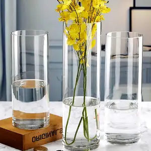 Décorations de salon vase en verre minimaliste moderne décorations d'arrangement de fleurs sèches hydroponiques pour la maison