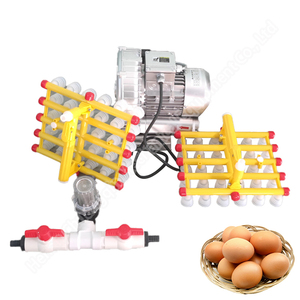 <b>Vacuum</b> Lifter Pumps Egg <b>Packer</b> Machine <b>Vacuum</b> Eggs Moving Machine - Product Image 4