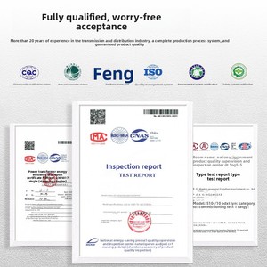 Transformateur cylindrique monophasé immergé dans l'huile, haute <span class=keywords><strong>tension</strong></span>, petite puissance, sortie 11 kV, fréquence 50 Hz, entrée 200 V, puissance de sortie - Product Image 3