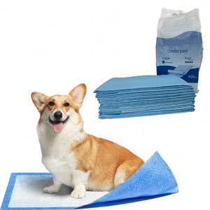 แผ่นรองนอนสำหรับสุนัขแผ่นซับน้ำสูงแบบใช้แล้วทิ้งเป็นมิตรต่อสิ่งแวดล้อม - Product Image 1