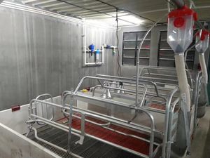 Nouvelles caisses de mise bas de porcs pour truies pendant la grossesse Équipement agricole automatique complet - Product Image 2