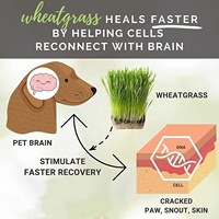 Baume pour pattes de chien et de chat à l'herbe de blé biologique, écologique, personnalisé sous marque privée, pour pattes gercées et irritées, en silicone, acier inoxydable/fer