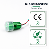 Module laser à ligne croisée verte 520nm 100mW, mise au point réglable, certifié CE RoHS, haute précision, garantie 6 mois, Chine, 15g
