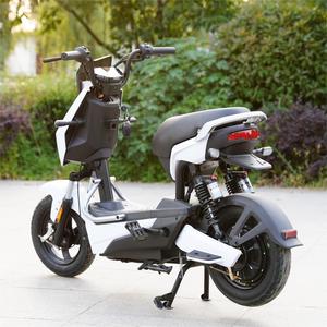 NUOVA Bici Elettrica per Adulti 500W 48V20AH, Bici Elettrica Biposto da Città ad Alta Velocità - Product Image 1