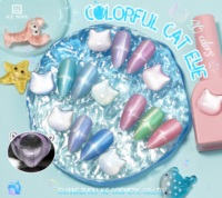 Vernis à ongles gel effet œil de chat magique, nouveau vernis à ongles gel 9D effet œil de chat, vernis à ongles gel coloré magique effet étoilé, étiquetage personnalisé OEM