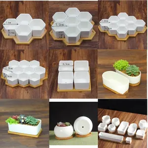 Home Garden Supplies Mini Plant White Pottery Succulent Ceramic Flower Pot With Bamboo Tray
